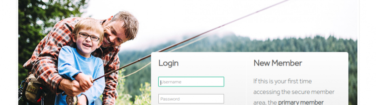 Superior Vision Account Login Process
