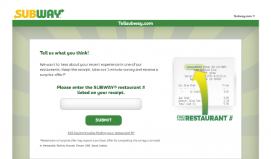 subway customer survey logo