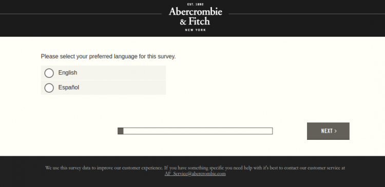Abercrombie and Fitch Survey