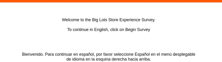 biglots survey